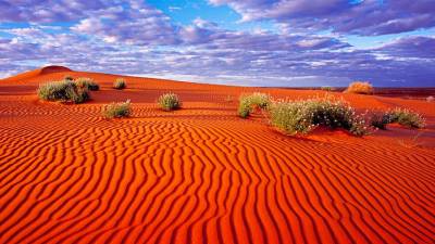 Desierto de Simpson. Ocupa buena parte del interior de la isla australiana y el polvo de óxido de hierro es el culpable de este paisaje marciano, un paisaje extremadamente rojo. (Fuente, www.traveler.es)