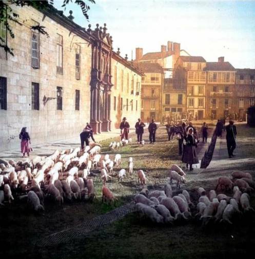 1915. En la imagen podemos ver cómo los ganaderos paseaban sus animales por delante del actual Instituto Rosalía de Castro.
