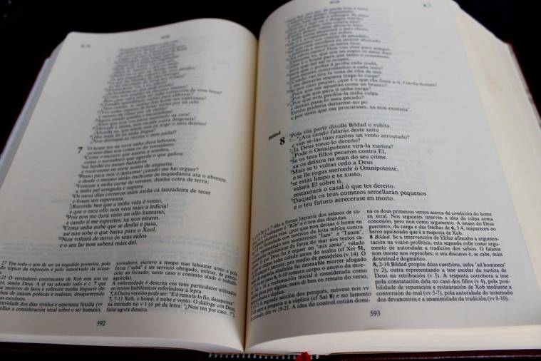 A revisión lingüística da biblia estará de acordo coas normas en vigor da Real Academia Galega