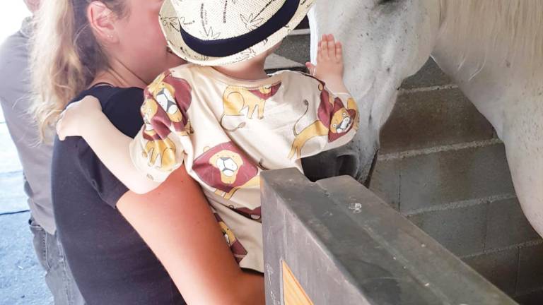 su pasión. Mael adora los caballos y en esa ocasión era la primera vez que montaba en uno. Foto: Gallego