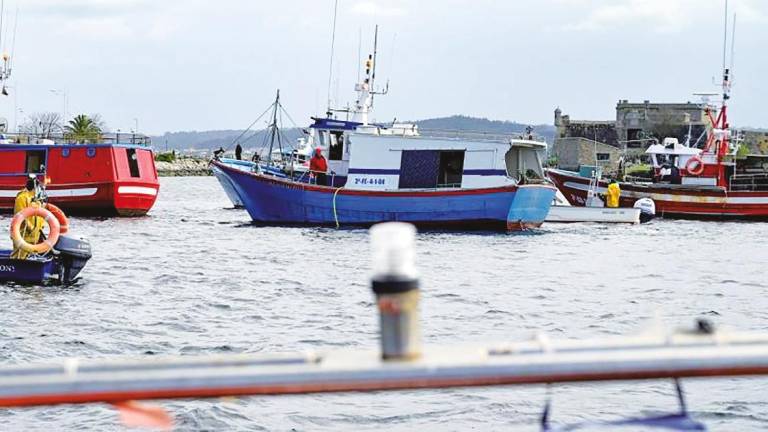 barcos de flota artesanal en la dársena de A Marina, en A Coruña. Foto: M.Dylan / E.press