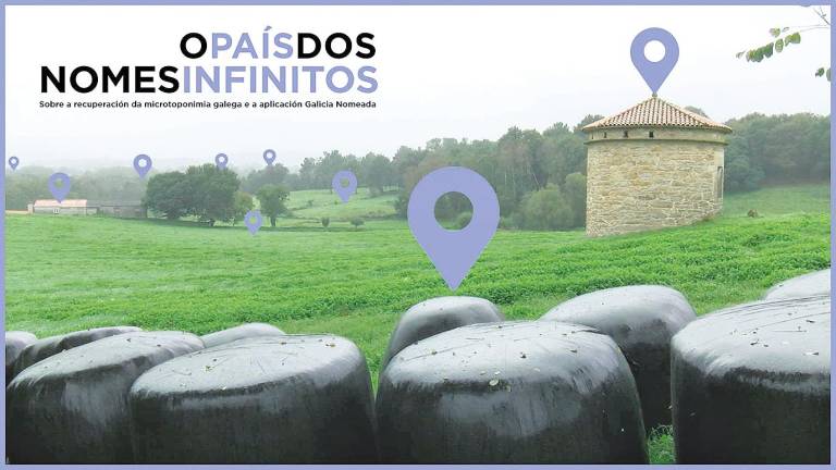 Careta de Galicia Nomeada. Foto: ECG