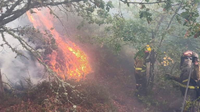 Efectivos trabajan en la extinción de un incendio forestal. Foto: Incendios de Galicia.