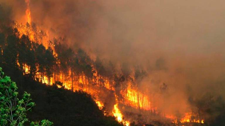 Galicia participa en León en unas jornadas sobre los nuevos desafíos en el análisis de grandes incendios