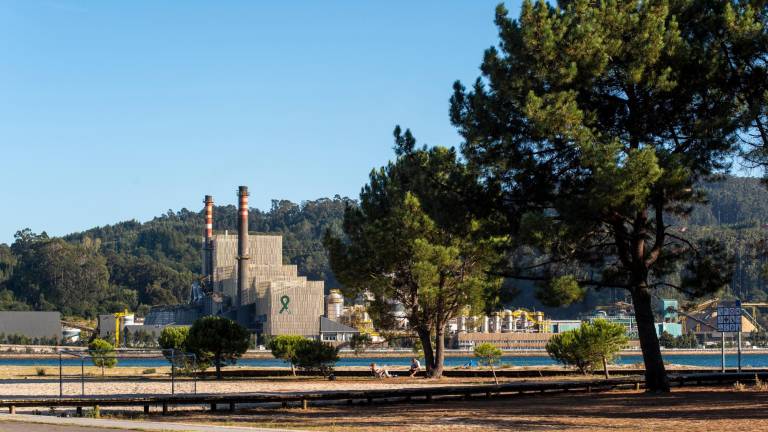 Vista de la planta de celulosa en Lourizán, Pontevedra. Foto: Efe