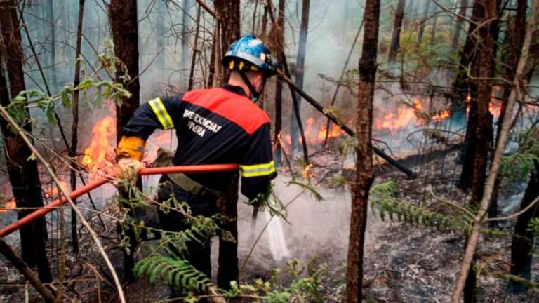 Un bombeiro extinguindo un incendio forestal en Ribeira.