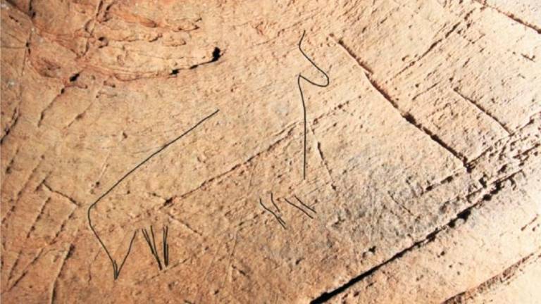 Representación dun animal de arte rupestre que se distinguen polas súas características xeométricas. Foto: USC