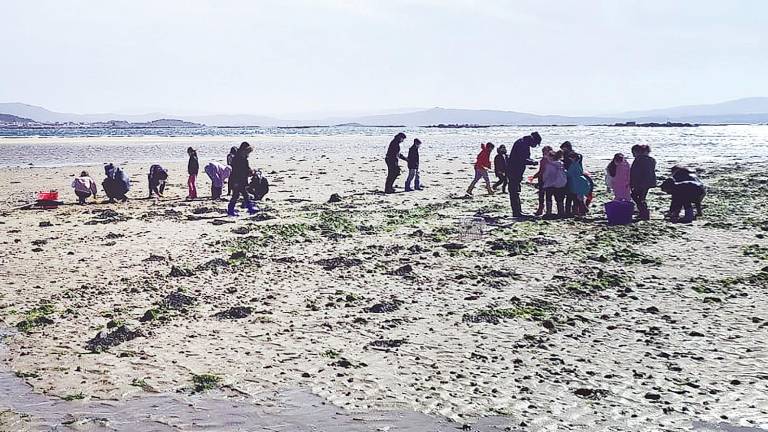 praia dos raposiños. Os nenos durante a actividade na praia dos Raposiños. Foto: C.P.