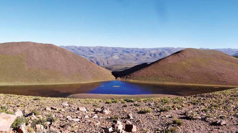 Laguna Leandro es un área protegida ubicada en el departamento Humahuaca, en la provincia de Jujuy, en el noroeste argentino.