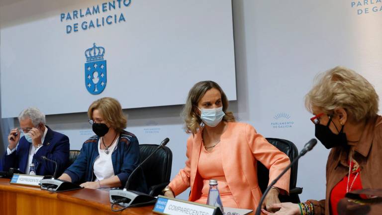en el parlamento. María Dolores Fernández Galiño durante su comparecencia en la Comisión. Foto: Efe