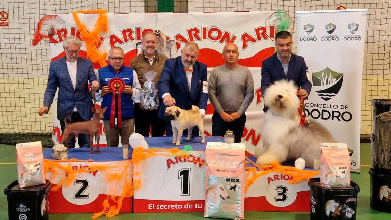 Os cans gañadores posando cos seus donos e o alcalde de Dodro Foto/C.D.