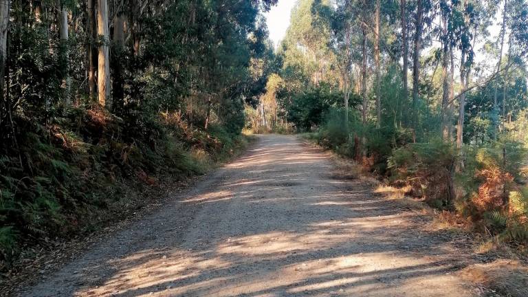 Uno de los tramos de la senda que unirá Milladoiro con el CEP de Ventín. Foto: PP