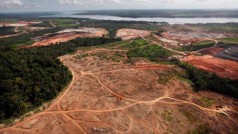 MEDIOAMBIENTE. Deforestación del Amazonas por fines económicos. Foto: Europa Press