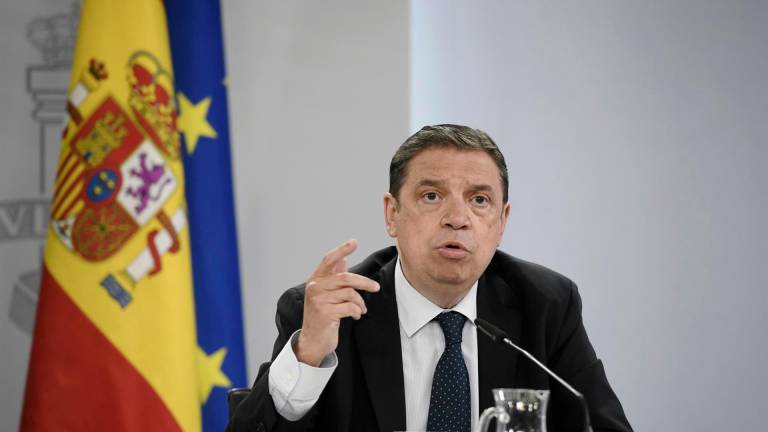 El ministro español, Luis Planas. Foto: Europa Press