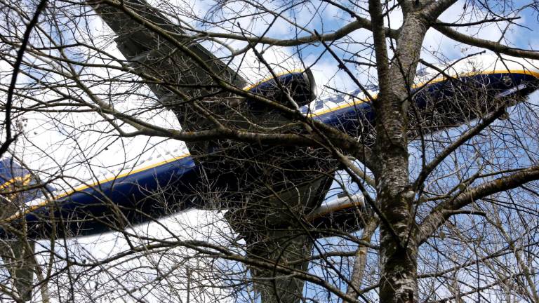 un avión que parece ‘arañar’ los árboles en la maniobra de acercamiento Foto: A. Hernández 