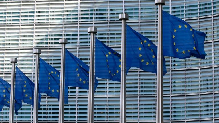 Banderas de Europa en el Parlamento Europeo. Foto: E.P.
