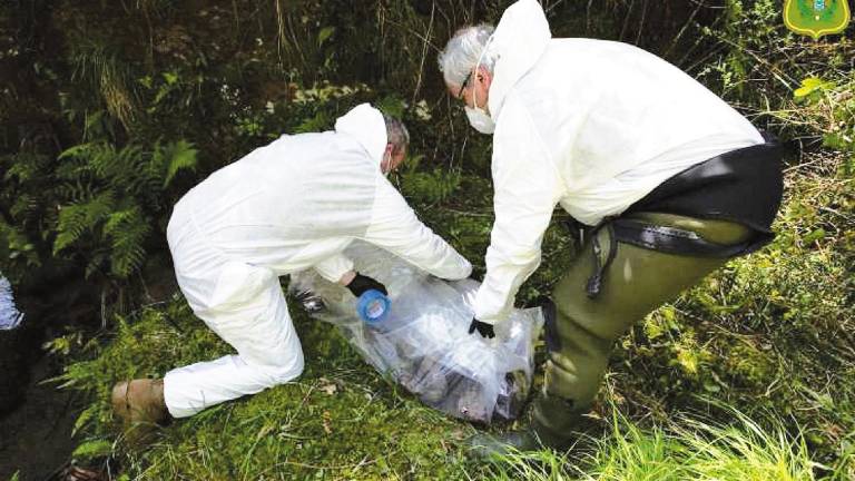 Los agentes medioambientales con la bolsa que porta los cadáveres de los animales. Foto: E.P.