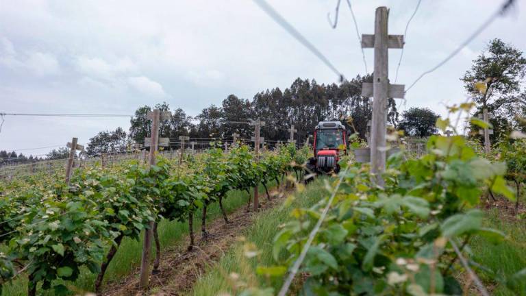 Un trabajador montado en un tractor trabaja en los viñedos. Iñaki Berasaluce/ Europa Press