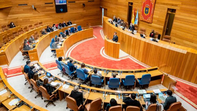 parlamento gallego. Tras un 2020 casi parado por culpa de la pandemia, la Cámara retomó con fuerza el pulso legislativo