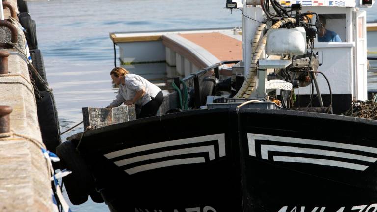 La UE propone una reducción del 18,5 % de la cuota de la merluza sur, la que faenan barcos gallegos. Foto: Xunta