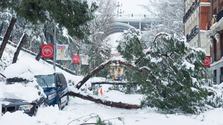 En la foto de archivo, un vehículo aplastado por un árbol durante la gran nevada provocada por la borrasca ‘Filomena’, en Madrid (España), el 9 de enero de 2021. IRINA R. H. / EUROPA PRESS