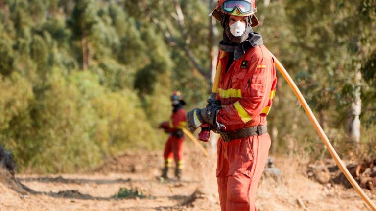 covid-19. Los operarios forestales son uno de los colectivos más afectados en Galicia por la pandemia. Foto: Efe