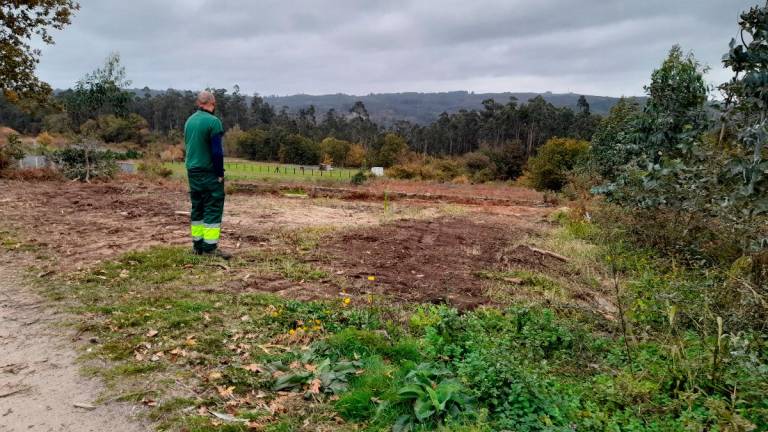 Un operario comprueba los terrenos preparados para la plantación de frondosas en el entorno de Montemaior. Foto: CDA
