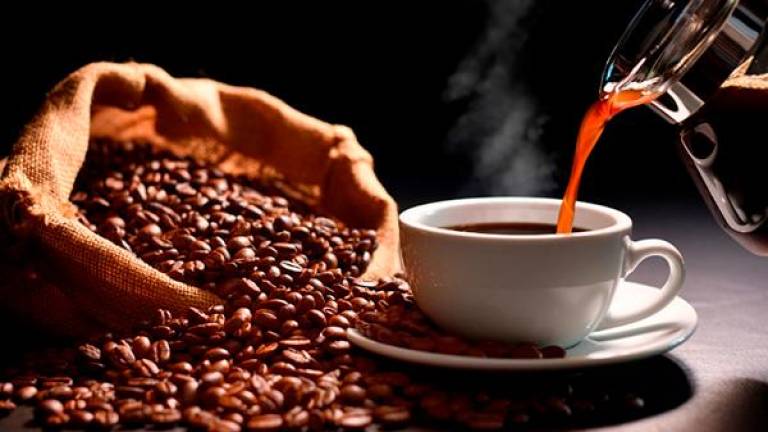 Un estudio a largo plazo revela que beber café ayuda a reducir la probabilidad de desarrollar Alzheimer