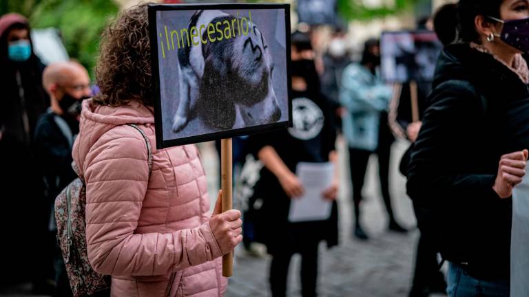 Varias personas sujetan carteles donde se muestran animales en laboratorios