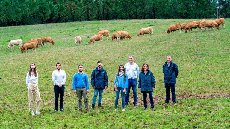 expertos. El equipo de especialistas de Reganosa, Repsol, Naturgy e Impulsa Galicia. Foto: Impulsa