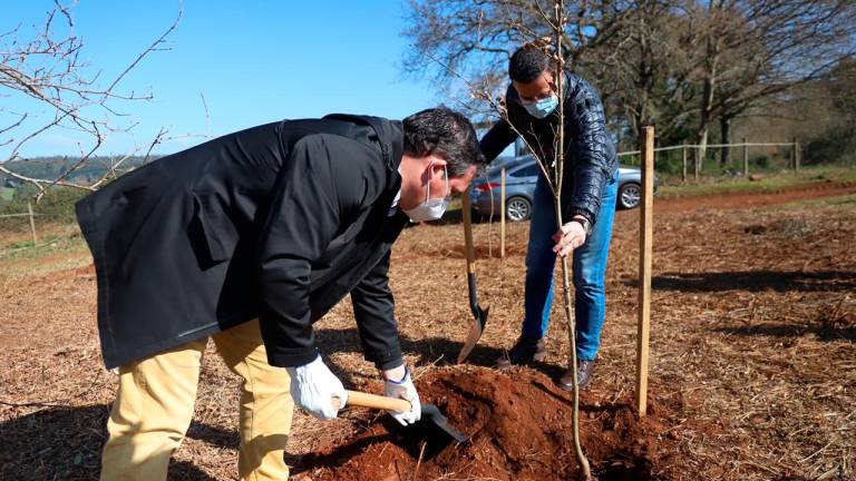medio rural. El conselleiro plantando un árbol. Foto: Xunta