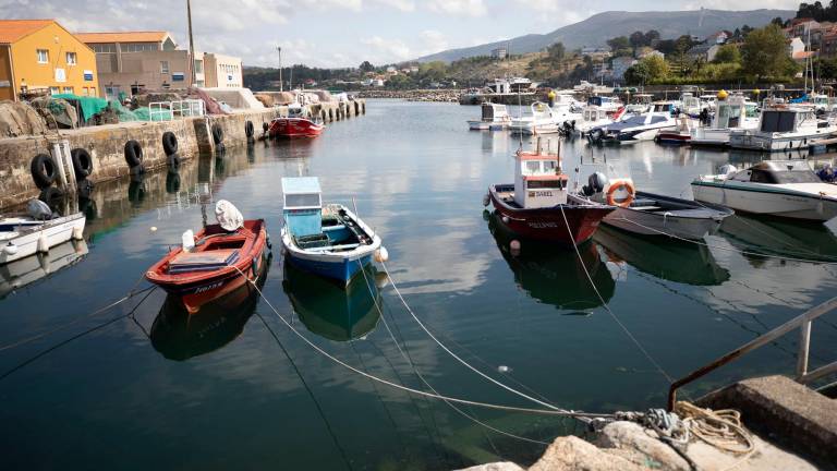 Vista de las embarcaciones pesqueras de bajura en un puerto gallego. Foto: C. Mar