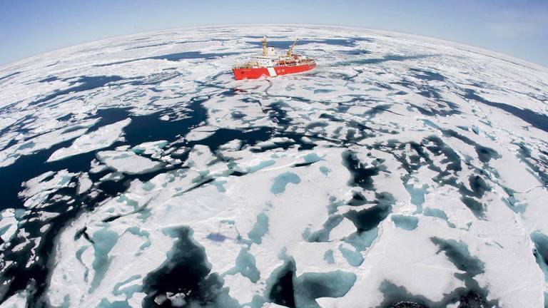 El Ártico está en peligro, es la zona de la Tierra que se calienta con mayor rapidez. Al ritmo actual, advierten los científicos, el hielo marino estival podría desaparecer de la región este mismo siglo. (Fuente, nationalgeographic.com) 