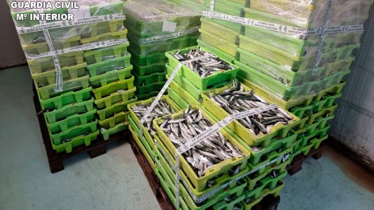 Cajas de sardina incautadas en el puerto de Laxe. Foto: Guardia Civil