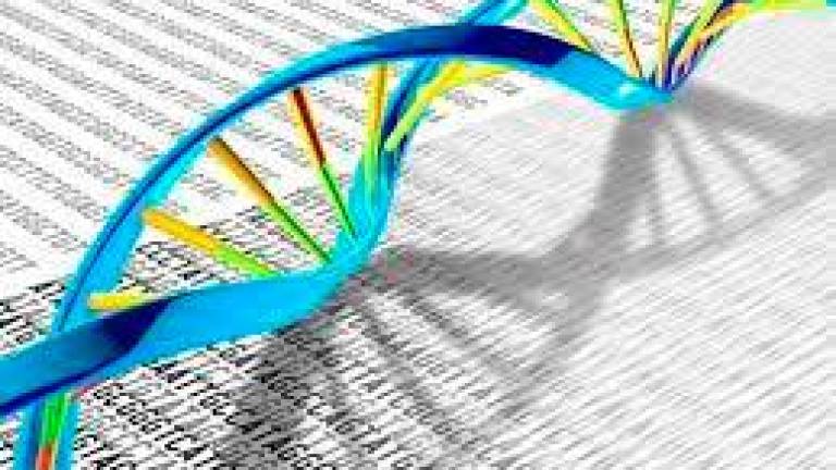 El ADN contiene muchas variaciones genéticas. Foto: E.P.