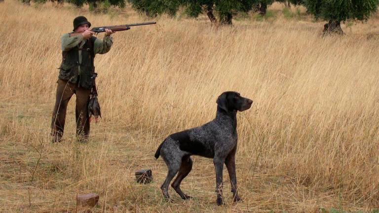 Animalistas reclaman a los 23 diputados gallegos que no discriminen a los perros destinados a la caza