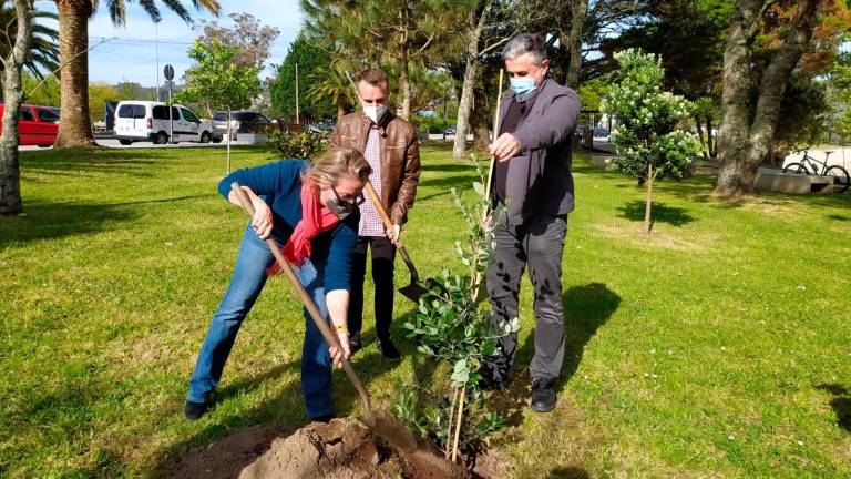 A bióloga plantou unha árbore no Parque da Comunicación de Galicia acompañada polos concelleiros. Foto: CG
