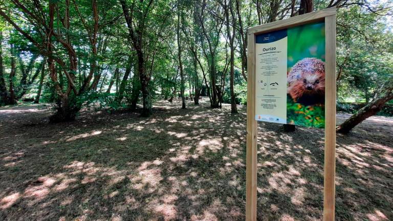 O espazo natural do Bosque do Añón será o escenario da tradicional Festa do Bosque. Foto: Concello de Carballo