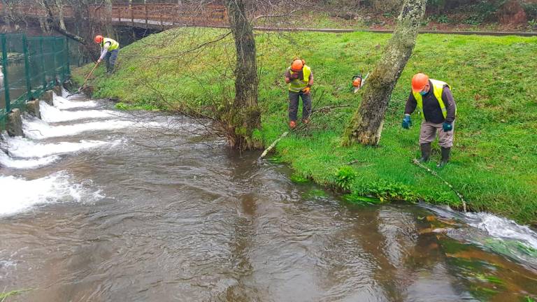 Imaxe dos labores de limpeza no río Fraga, en Ordes. Foto: Xunta