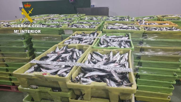 Cajas de sardina decomisadas en el puerto de Camariñas. Foto: Guardia Civil