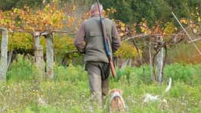 Un cazador pasea cos seus cans nun terreo cinexeticamente ordenado (tecor) da comarca santiaguesa. Foto: G.