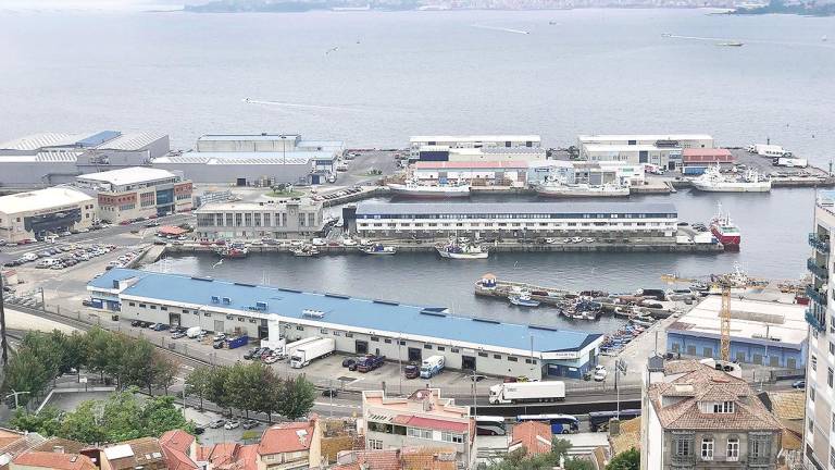 Puerto pesquero de Vigo, considerado como el primero del mundo en especies para el consumo humano. Foto: M.Gimeno 