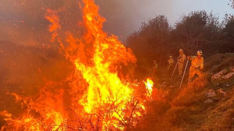 Incendio forestal. GOBIERNO DE CANTABRIA 17/04/2022