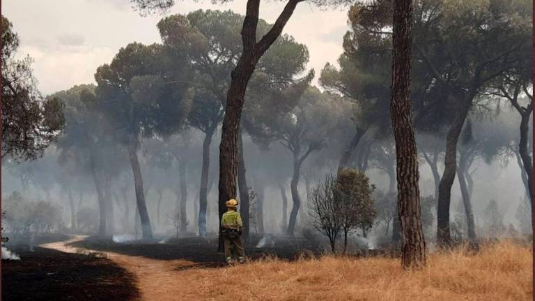 Incendios provocados por el cambio climático. Foto: E. Press