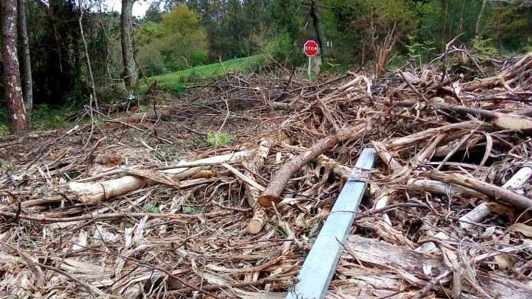 Denuncian a acumulación de madeira e restos dunha tala nunha estrada de Soandres