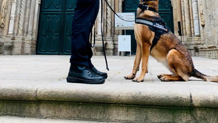 Un agente con uno de los perros de la unidad canina de la Policía Nacional, en Praterías