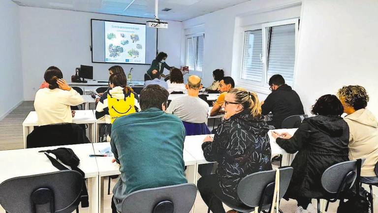 Os participantes nunha sesión teórica do curso de aproveitamento de macroalgas. Foto: C.