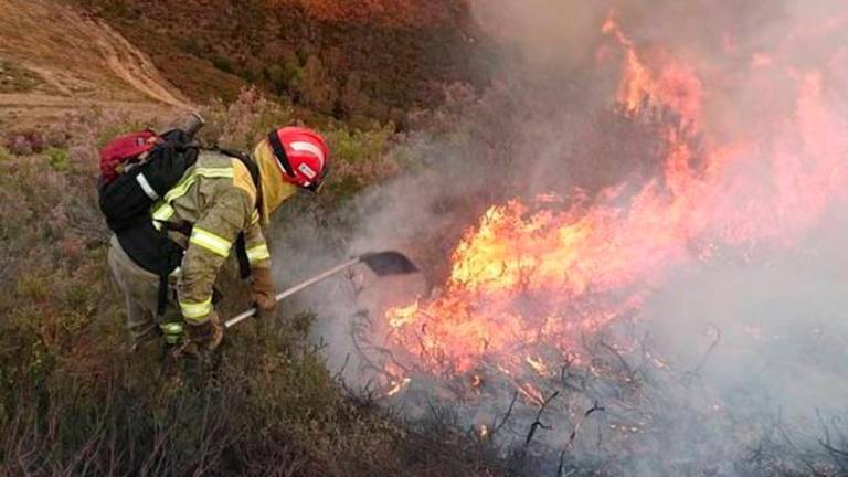Un brigadista trabaja en la extinción de un incendio forestal. Foto: Gallego.