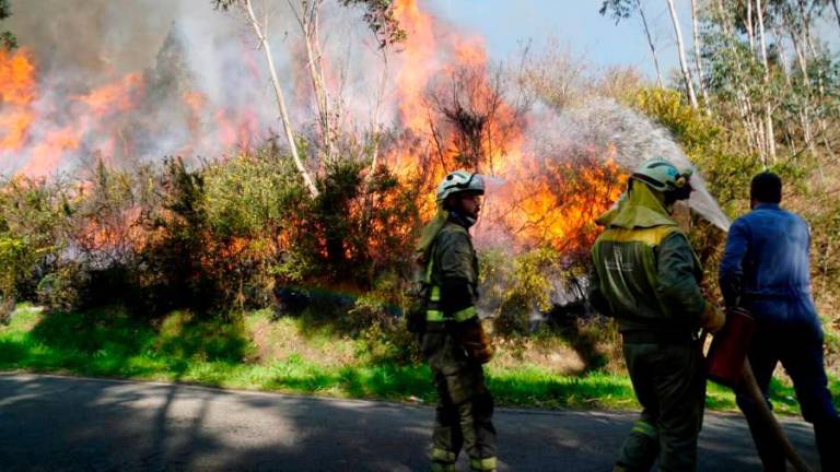Un incendio forestal afecta a una superficie de más de 100 hectáreas en Ribas de Sil