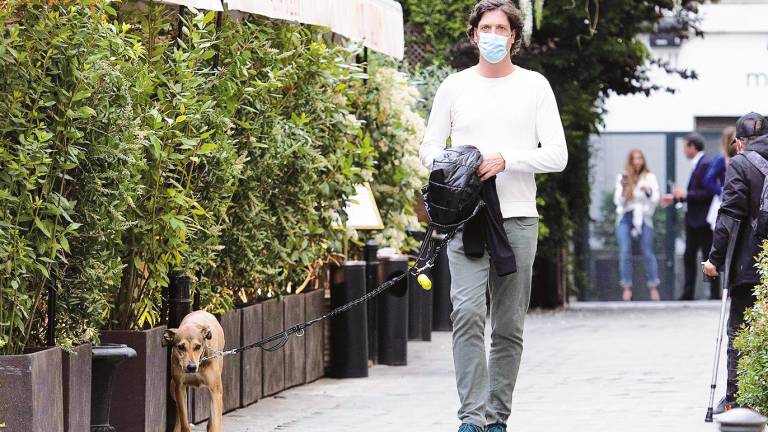 Luis Medina, paseando por Madrid con su perro, es investigado como comisionista. Foto: E.P.